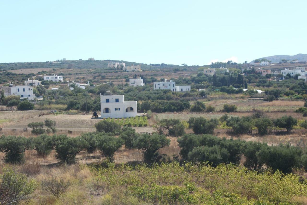 Theofilos Appartements Livadi  Luaran gambar